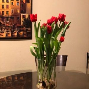 Meet your Posher, Sonia